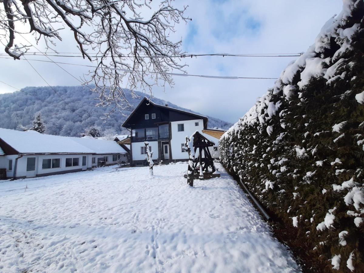 Pensiunea Mateo Bran  Buitenkant foto